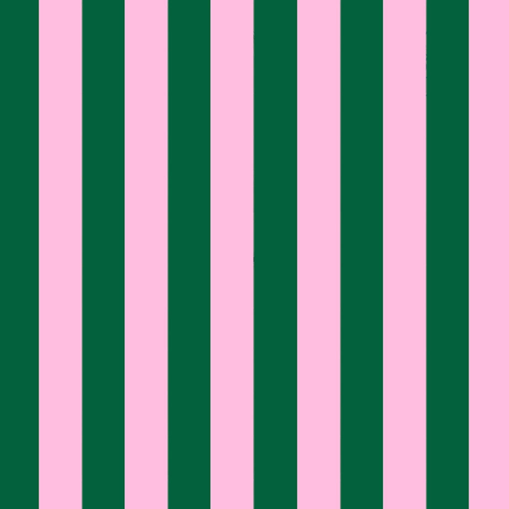Bold Stripe Case