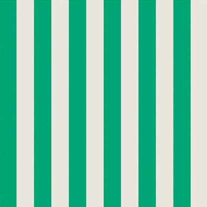 Bold Stripe Case