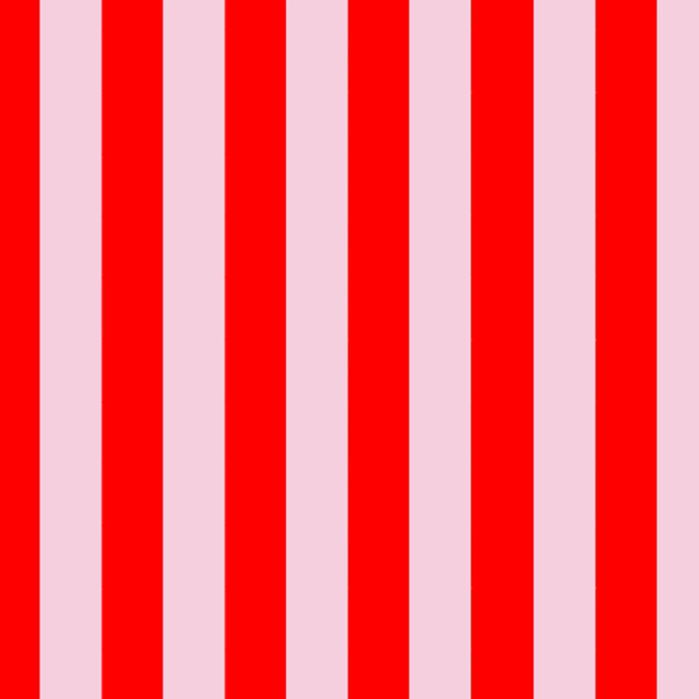 Bold Stripe Case
