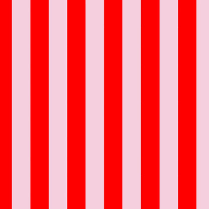 Bold Stripe Case