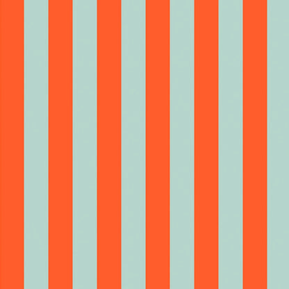 Bold Stripe Case