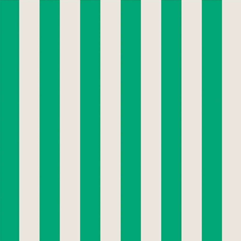 Bold Stripe Tote Bag