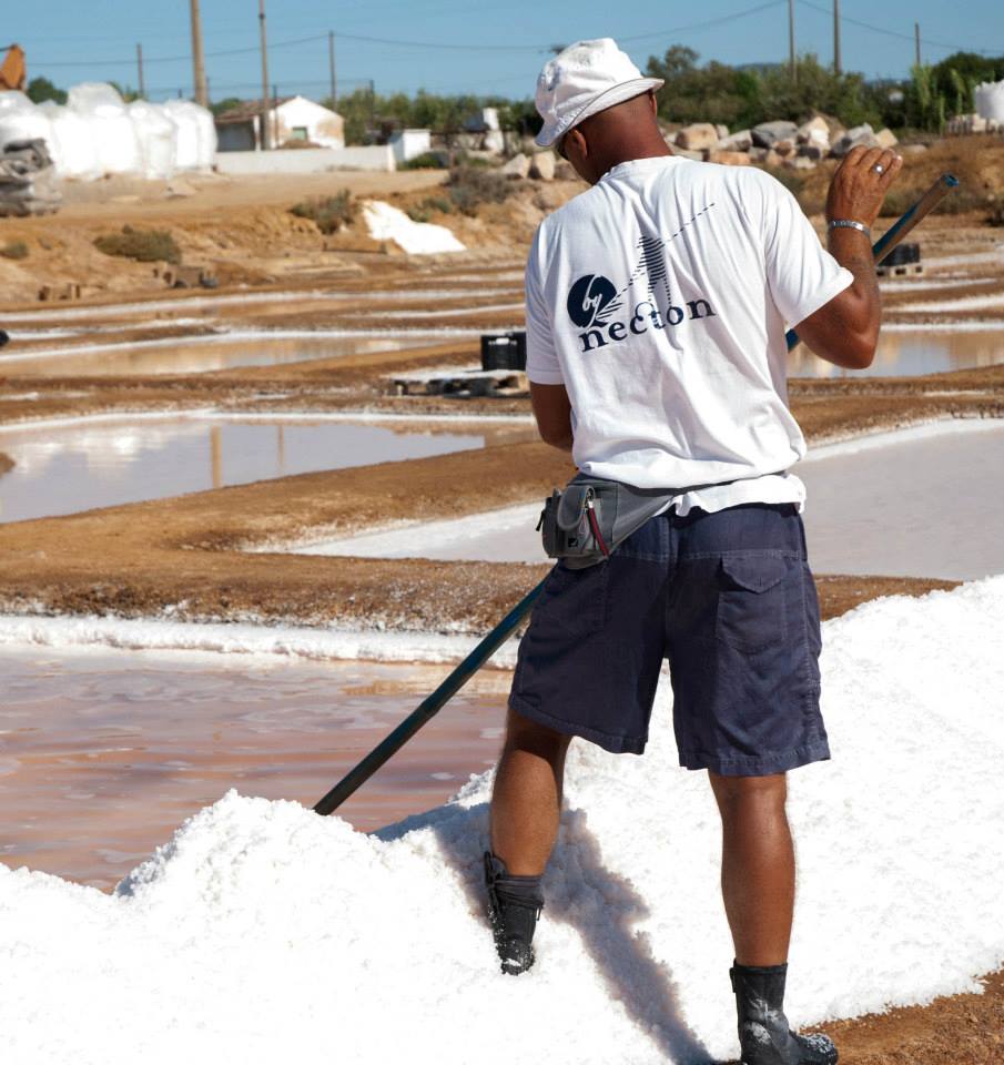 Charger la vidéo : Necton Sea Salt