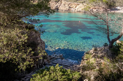 A view through trees of a rocky coastline and clear turquoise water, with dark seaweed beneath the surface, echoes scenes from Loft Publications' Mallorca Living coffee table book, with wooden planks leading to the water.