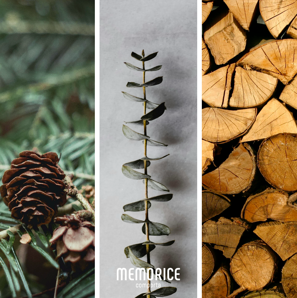 MEMORICE Portuguese scented candle with fresh woody pine forest fragrance